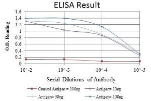ELISA image for anti-X-Ray Repair Complementing Defective Repair in Chinese Hamster Cells 5 (Double-Strand-Break Rejoining) (XRCC5) antibody (ABIN969463)