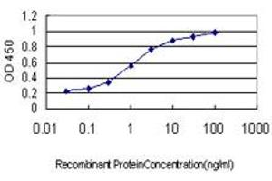 Detection limit for recombinant GST tagged KREMEN1 is approximately 0. (KREMEN1 Antikörper  (AA 310-391))
