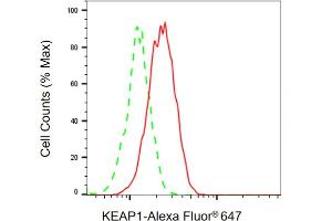 Flow cytometric analysis of KEAP1 expression in HAP-1 cells using KEAP1 antibody ( (ABIN7799161), 1:2,000). (KEAP1 Antikörper)