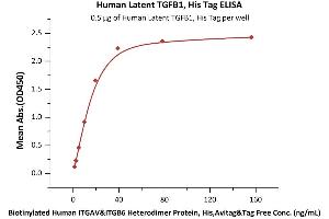 ELISA image for Transforming Growth Factor, beta 1 (TGFB1) (AA 30-390) (Active) protein (His tag) (ABIN4949126)
