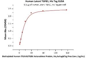 Immobilized Human Latent TGFB1, His Tag (ABIN4949126,ABIN4949127) at 5 μg/mL (100 μL/well) can bind Biotinylated Human ITGAV&ITGB6 Heterodimer Protein, His,Avitag&Tag Free (ABIN5674599,ABIN6253672) with a linear range of 1-20 ng/mL (QC tested).