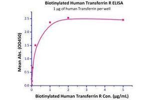 Immobilized Human Transferrin, His Tag (Cat# TRN-H4229) at 10 μg/mL (100 µL/well),can bind Biotinylated Human Transferrin R (Cat# TFR-H8243) with a linear range of 2-200 ng/mL. (Transferrin Receptor Protein (AA 89-760) (His tag,Biotin))