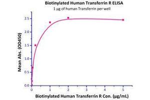 Immobilized Human Transferrin, His Tag (Cat# TRN-H4229) at 10 μg/mL (100 µL/well),can bind Biotinylated Human Transferrin R (Cat# TFR-H8243) with a linear range of 2-200 ng/mL. (Transferrin Receptor Protein (AA 89-760) (His tag,Biotin))