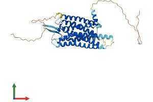Protein Structure (PS) image for Gastrin-Releasing Peptide Receptor (GRPR) (AA 1-384) protein (His tag) (ABIN7548207)
