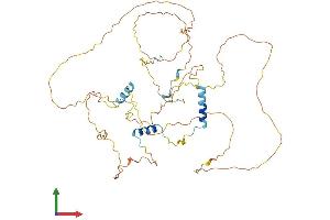 Protein Structure (PS) image for GC-Rich Promoter Binding Protein 1 (GPBP1) (AA 1-473) protein (His tag) (ABIN7557962)