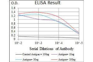 Red: Control Antigen (100ng) ; Purple: Antigen (10ng) ; Green: Antigen (50ng) ; Blue: Antigen (100ng). (CD5 Antikörper  (AA 27-233))