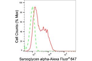 Flow cytometric analysis of Sarcoglycan alpha expression in C2C12 cells using Sarcoglycan alpha antibody (ABIN7800271), 1:2,000). (Rekombinanter SGCA Antikörper)