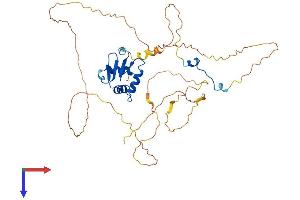 ELK3 Protein (AA 1-409) (His tag)