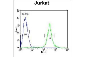 Flow cytometric analysis of Jurkat cells (right histogram) compared to a negative control cell (left histogram). (APITD1 Antikörper  (AA 48-74))