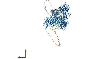 AlphaFold protein structure predicition of Mouse Recombinant Mybpc2 Protein, UniprotID Q5XKE0