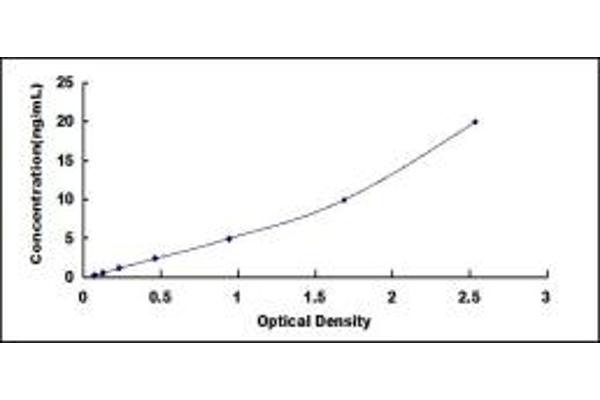 SLC12A1 ELISA Kit