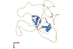 ONECUT1 Protein (AA 1-465) (His tag)