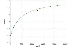 Interferon-Induced Protein 35 (IFI35) ELISA Kit