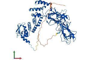 Protein Structure (PS) image for BTB (POZ) Domain Containing 9 (BTBD9) (AA 1-612) protein (His tag) (ABIN7552747)