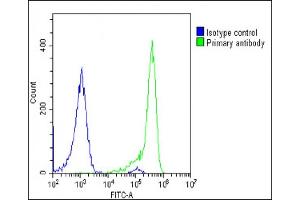 Overlay histogram showing U-2 OS cells stained with (ABIN6243315 and ABIN6578853)(green line). (TCIRG1 Antikörper  (AA 668-702))