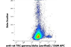 Flow cytometry surface staining pattern of rat splenocytes stained using anti-rat TCR gamma/delta (V65) purified antibody (concentration in sample 0,6 μg/mL, DAM APC). (TCR gamma/delta Antikörper)