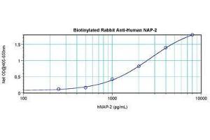 Image no. 1 for anti-Pro-Platelet Basic Protein (Chemokine (C-X-C Motif) Ligand 7) (PPBP) antibody (Biotin) (ABIN465449) (CXCL7 Antikörper  (Biotin))