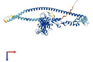 TRAF3 Protein (AA 1-568) (His tag)