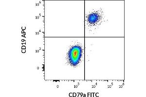 Flow cytometry multicolor surface staining pattern of human lymphocytes using anti-human CD19 (LT19) APC antibody (10 μL reagent / 100 μL of peripheral whole blood) and intracellular staining of human lymphocytes using anti-human CD79a (HM57) FITC antibody (4 μL reagent / 100 μL of peripheral whole blood). (CD79a Antikörper  (AA 202-216) (FITC))