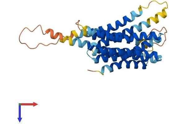 SLC39A9 Protein (AA 1-307) (His tag)