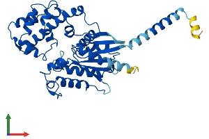 Protein Structure (PS) image for Guanine Nucleotide Binding Protein (G Protein), Q Polypeptide (GNAQ) (AA 1-359) protein (His tag) (ABIN7562956)