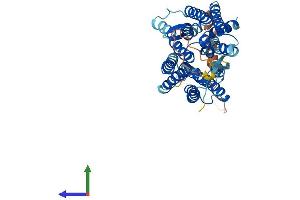 AlphaFold protein structure predicition of Mouse Recombinant Slc52a3 Protein, UniprotID Q9D6X5