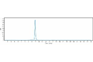 anti-Insulin-Like Growth Factor 2 (IGF2) antibody