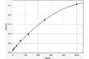 Peroxiredoxin 6 (PRDX6) ELISA Kit