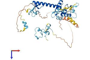 MKRN2 Protein (AA 1-416) (His tag)