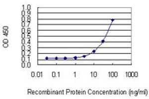 Detection limit for recombinant GST tagged NUDT13 is 1 ng/ml as a capture antibody. (NUDT13 Antikörper  (AA 2-110))
