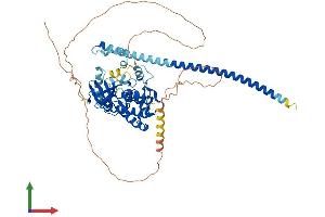 AlphaFold protein structure predicition of Mouse Recombinant Map3k7 Protein, UniprotID Q62073