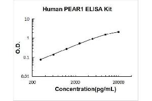 Platelet Endothelial Aggregation Receptor 1 (PEAR1) ELISA Kit