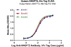 ELISA image for Angiopoietin 2 (ANGPT2) (AA 275-496) protein (His-Avi Tag) (ABIN7273860)