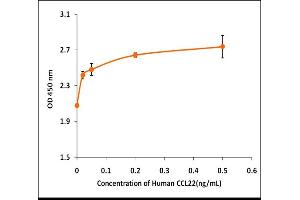 Activity Assay (AcA) image for Chemokine (C-C Motif) Ligand 22 (CCL22) (Active) protein (ABIN5509429)