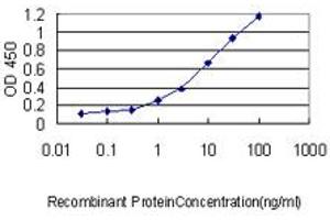 Detection limit for recombinant GST tagged USF1 is approximately 0. (USF1 Antikörper  (AA 1-310))