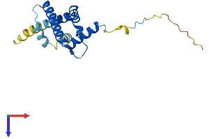 ARL2BP Protein (AA 1-163) (His tag)