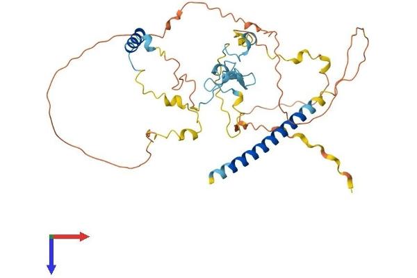MIIP Protein (AA 1-388) (His tag)