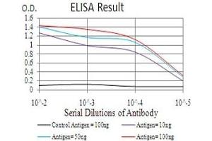Black line: Control Antigen (100 ng), Purple line: Antigen(10 ng), Blue line: Antigen (50 ng), Red line: Antigen (100 ng), (HDAC2 Antikörper  (AA 217-327))