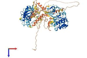 MSK1 Protein (AA 1-863) (His tag)