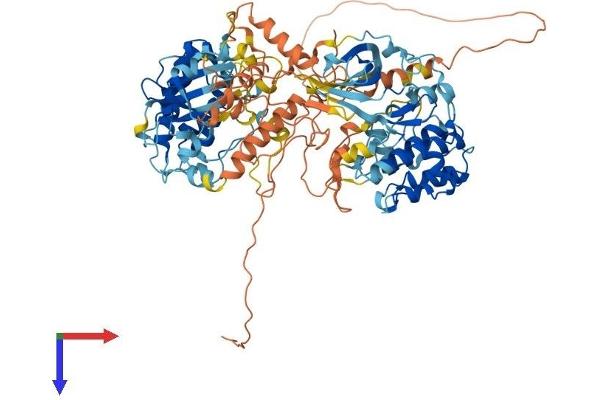 MSK1 Protein (AA 1-863) (His tag)