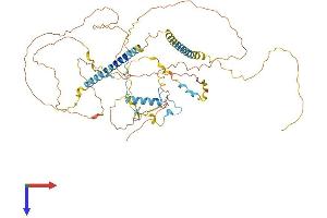 FIP1L1 Protein (AA 1-581) (His tag)