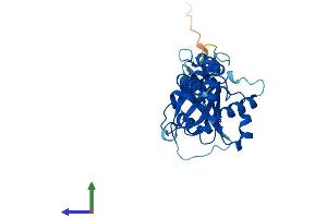 Protein Structure (PS) image for DnaJ (Hsp40) Homolog, Subfamily C, Member 27 (DNAJC27) (AA 1-273) protein (His tag) (ABIN7559310)