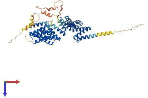 TTC23 Protein (AA 1-488) (His tag)