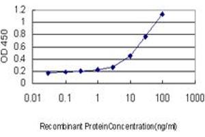 Detection limit for recombinant GST tagged MEF2A is approximately 0. (MEF2A Antikörper  (AA 71-170))