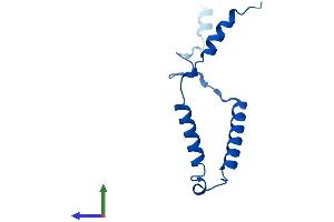 Protein Structure (PS) image for Mitochondrial Ribosomal Protein 63 (MRP63) (AA 1-102) protein (His tag) (ABIN7560540)
