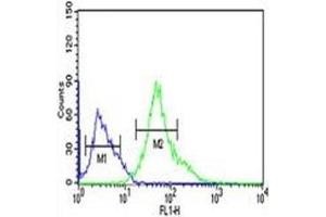 Flow Cytometry (FACS) image for anti-X-Box Binding Protein 1 (XBP1) (AA 62-91) antibody (ABIN3029642)