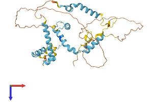 SNAPC2 Protein (AA 1-359) (His tag)