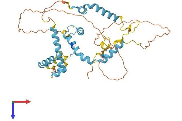 SNAPC2 Protein (AA 1-359) (His tag)