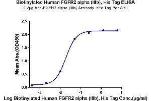 Immobilized Anti-FGFR2 alpha (IIIb) Antibody, hFc Tag at 2 μg/mL (100 μL/well) on the plate.