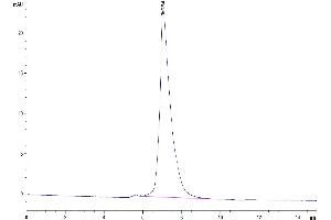 Size-exclusion chromatography-High Pressure Liquid Chromatography (SEC-HPLC) image for Osteoclast Associated Receptor (OSCAR) (AA 19-228) protein (Fc Tag) (ABIN7275378)